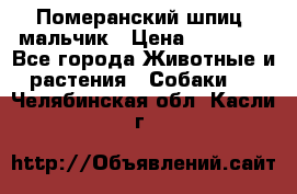 Померанский шпиц, мальчик › Цена ­ 35 000 - Все города Животные и растения » Собаки   . Челябинская обл.,Касли г.